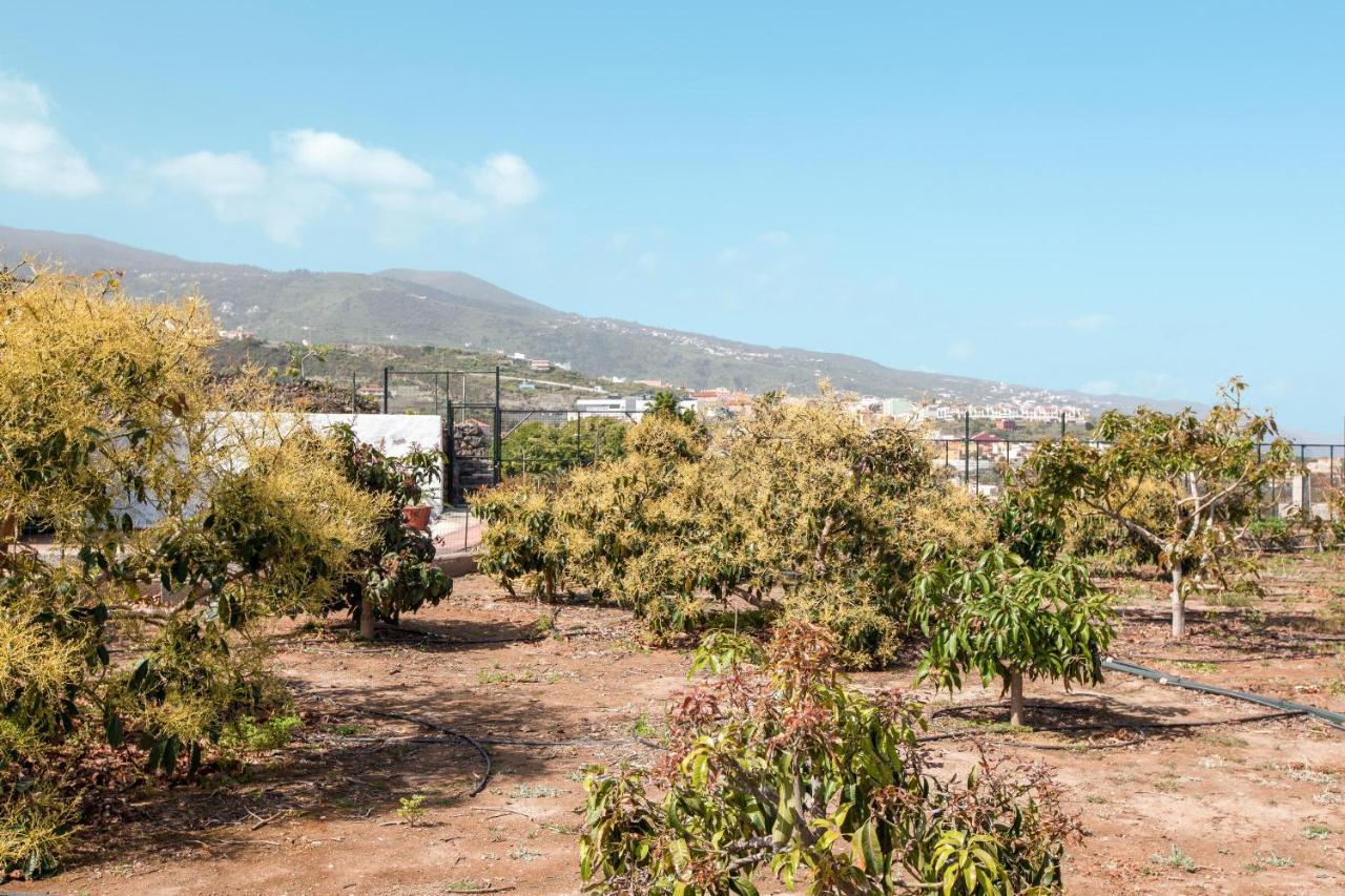 イコー・デ・ロス・ビノス Casa Quemahierro 2ヴィラ エクステリア 写真